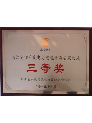 浙江省10千伏電力電纜終端安裝比武三等獎(jiǎng)